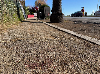 San Benedetto - Capodanno di sangue con 4 feriti: fermato un 21enne